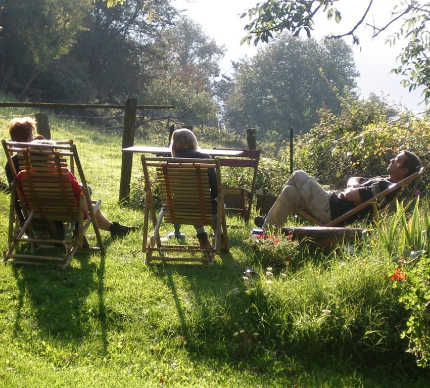 Maison D'Hotes De La Verriere Les Ardillats Luaran gambar