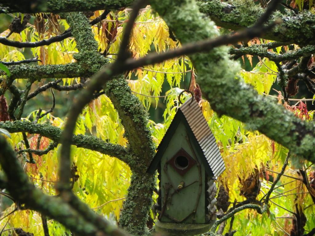 Maison D'Hotes De La Verriere Les Ardillats Luaran gambar