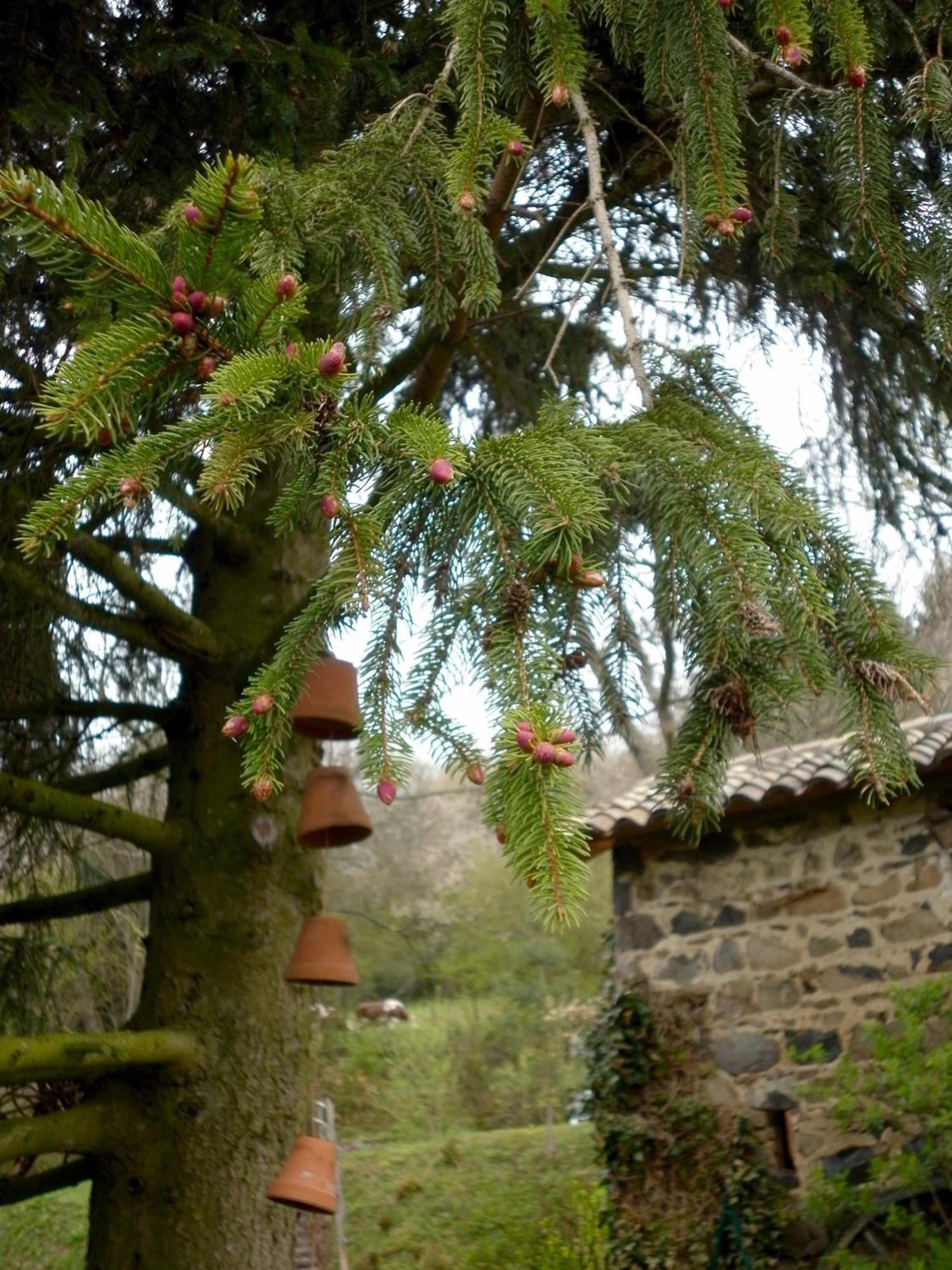Maison D'Hotes De La Verriere Les Ardillats Luaran gambar